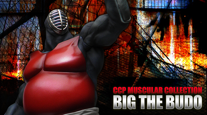 CCP Muscular Collection Vol.35 rbOEUEiʃJ[j