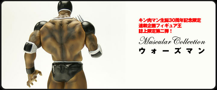 L} Muscular Collection Count.085 EH[Y}