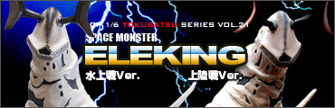 CCP1/6���B�V���[�Y Vol.021 �F�����b�G���L���O