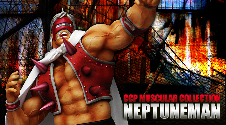 CCP Muscular Collection Vol.37 lv`[} NX{o[veriJ[j